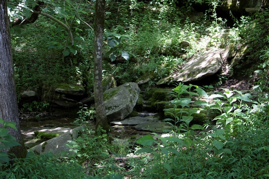 0 Frank Sims Road Sparta, TN 38583 - Photo 15 of 34 Gallery Image 15