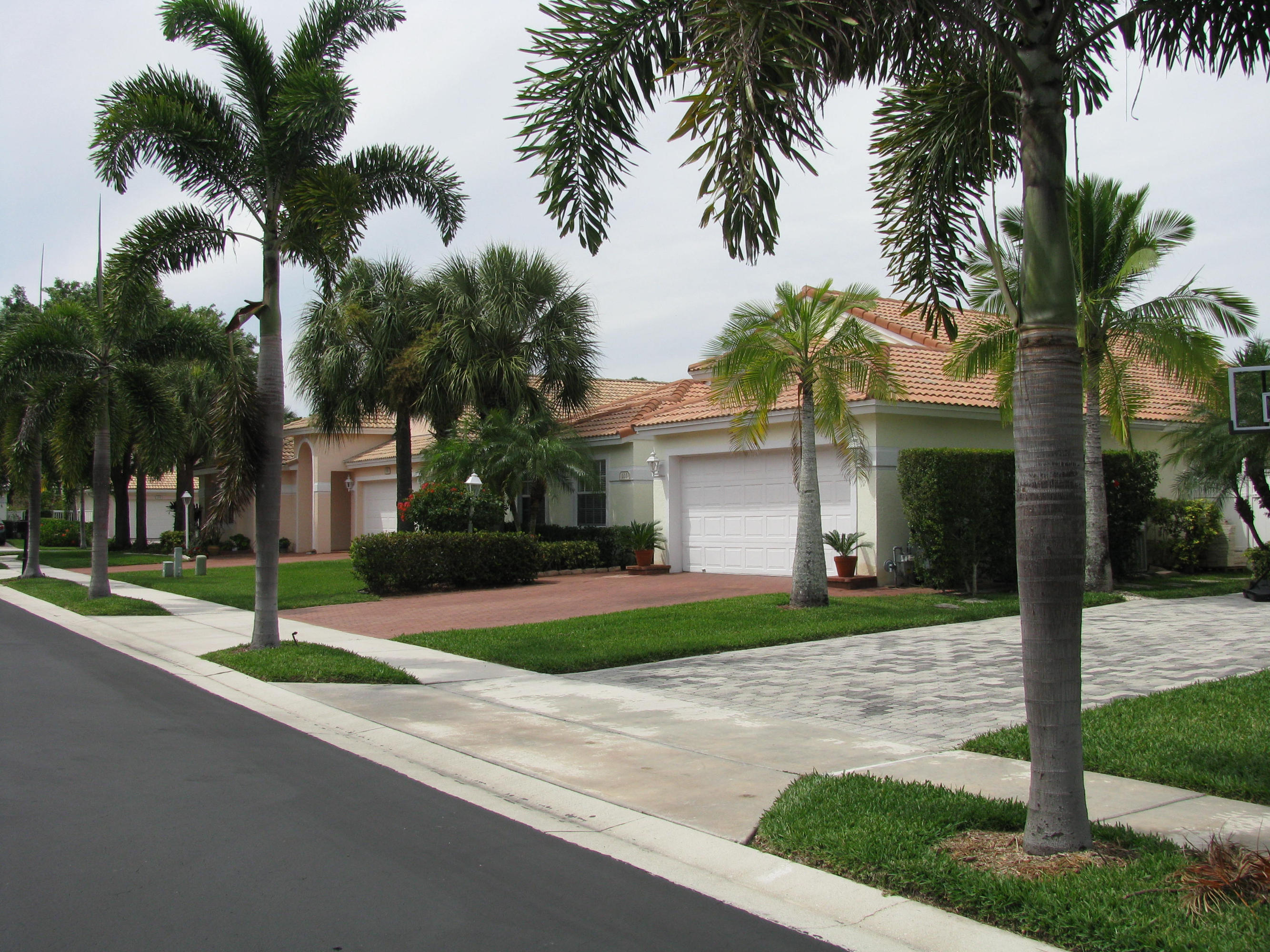 103 Waterbridge Lane Jupiter, FL 33458 - Photo 34 of 47 a white house with palm tree in front of it