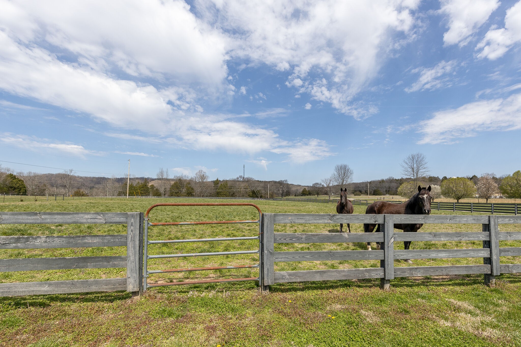 1611 Floyd Road Eagleville, TN 37060 - Photo 25 of 46 Gallery Image 25