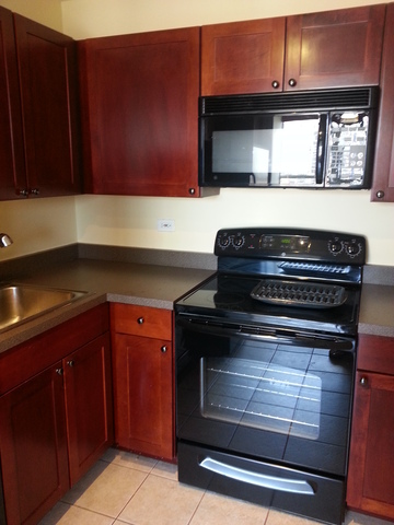 655 West Irving Park Road, Unit 1214 Chicago, IL 60613 - Photo 5 of 11