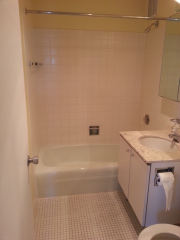 655 West Irving Park Road, Unit 1214 Chicago, IL 60613 - Photo 10 of 11