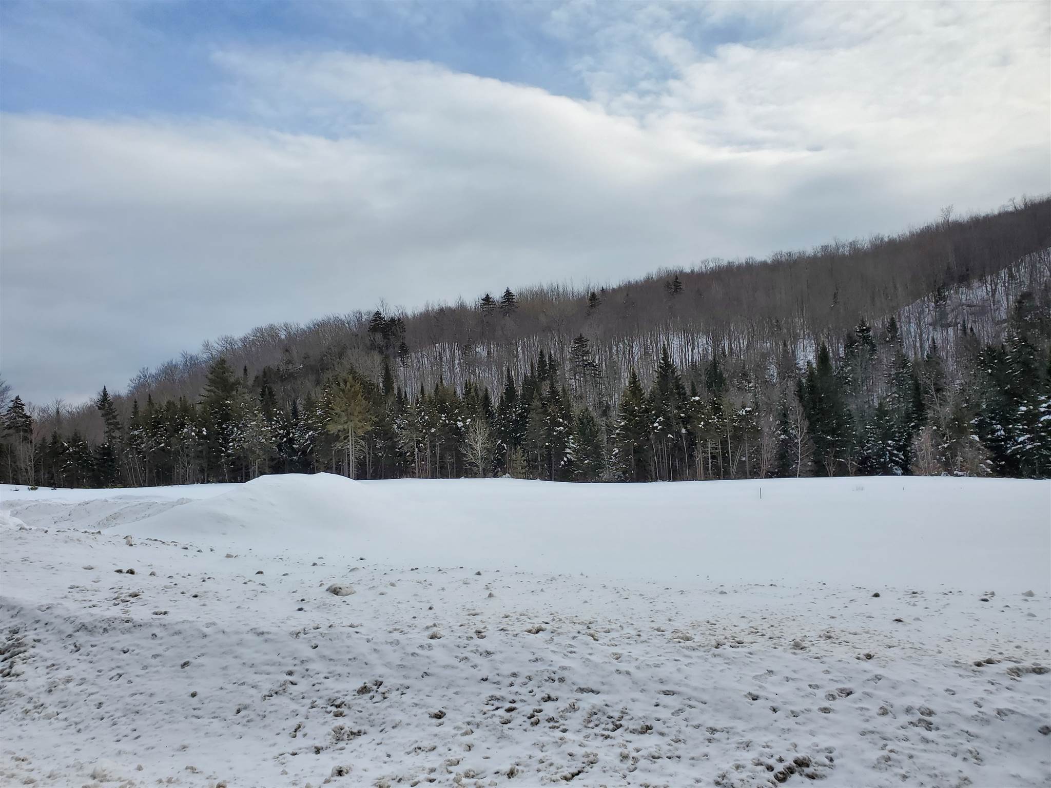 925 East Haven Road Brighton, VT 05846 - Photo 4 of 14 Gallery Image 4