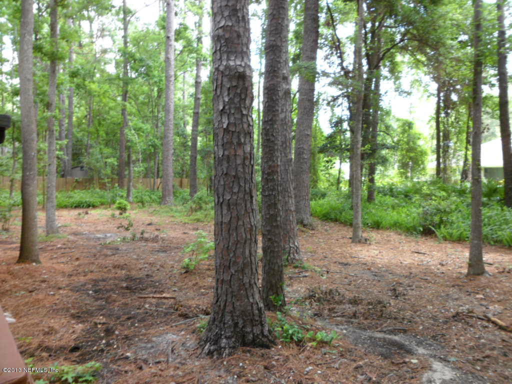 12809 Mandarin Road Jacksonville, FL 32223 - Photo 41 of 48 a view of a forest with trees in the background