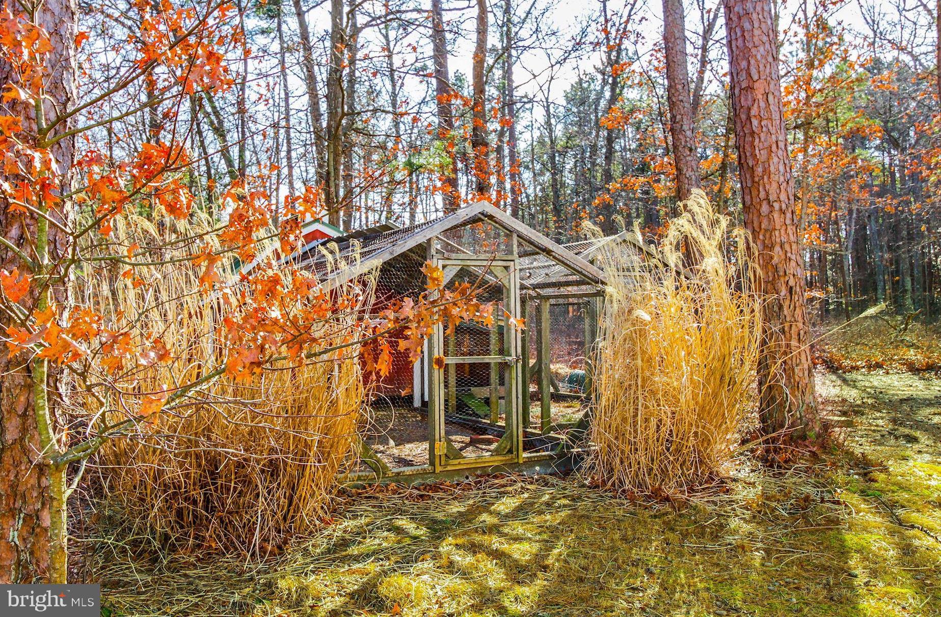 345 Riverside Drive Port Republic, NJ 08241 - Photo 63 of 63 Chicken coops