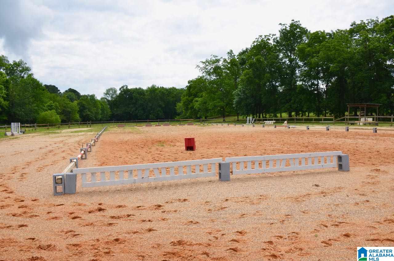 125 Hebb Road Wilsonville, AL 35186 - Photo 8 of 39