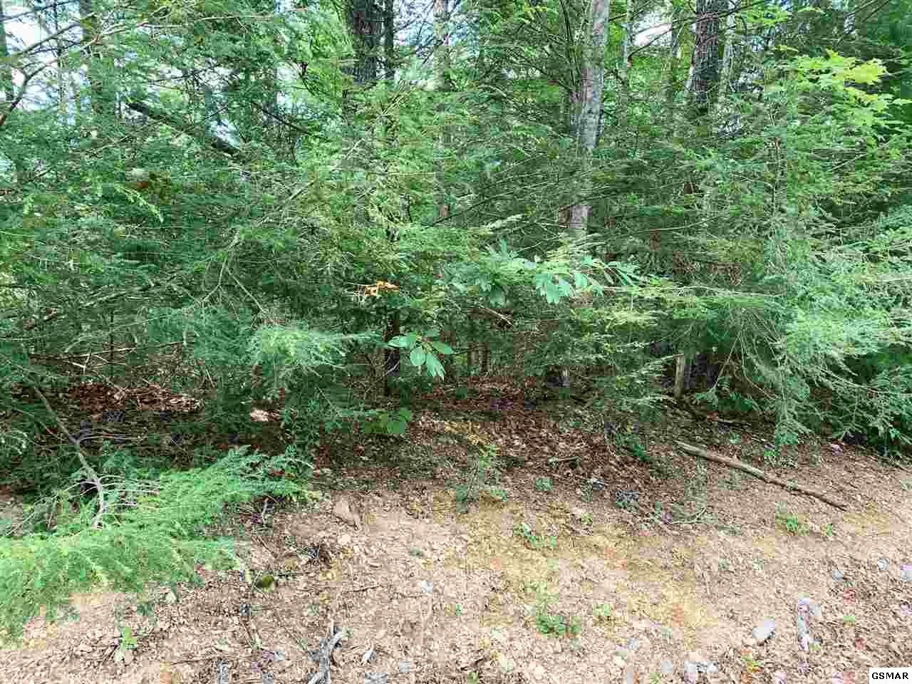 91 Bird View Lane Sevierville, TN 37862 - Photo 3 of 3