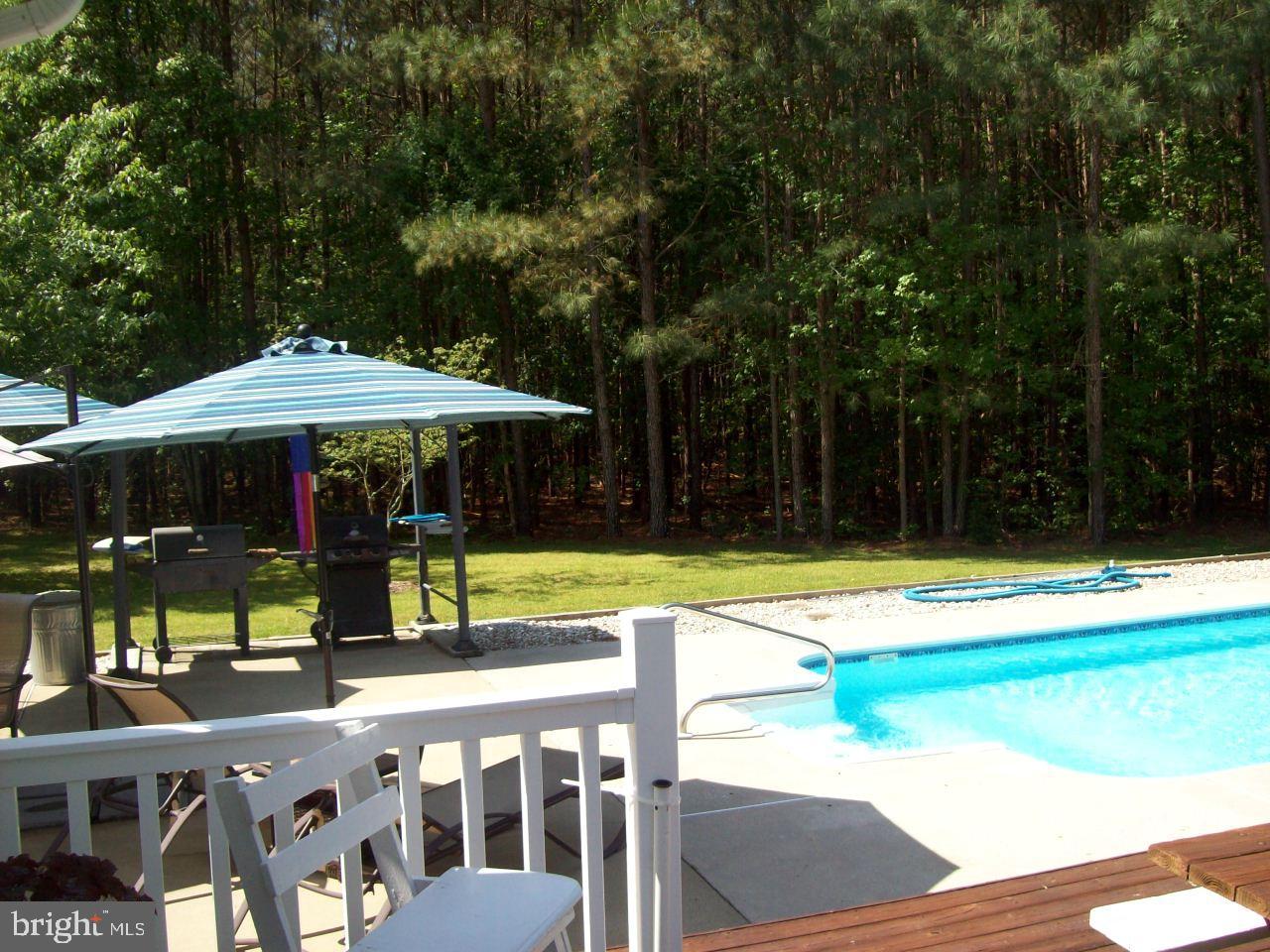 7708 Levin Dashiell Road Hebron, MD 21830 - Photo 12 of 95 Patio area