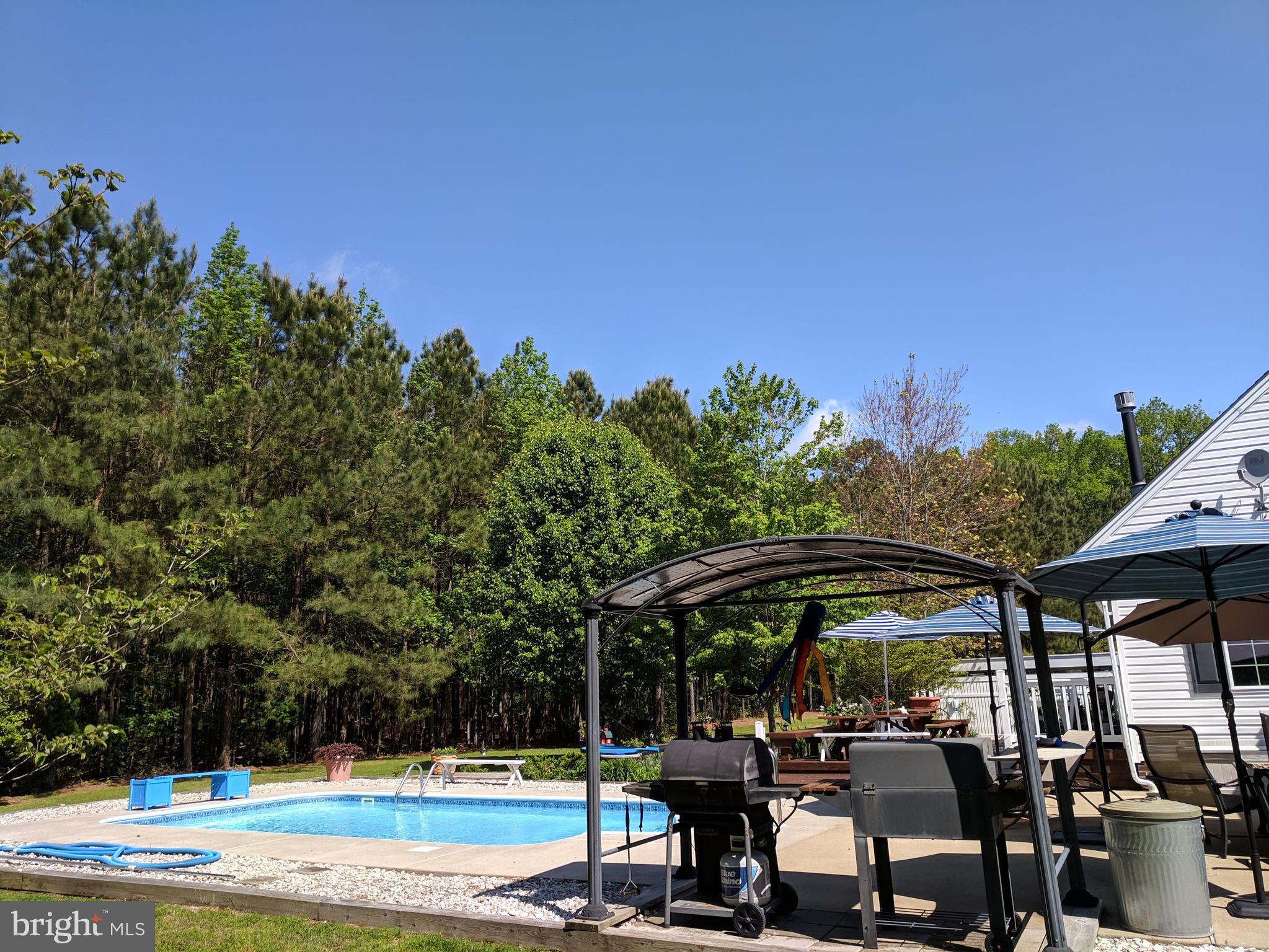 7708 Levin Dashiell Road Hebron, MD 21830 - Photo 14 of 95 BBQ area