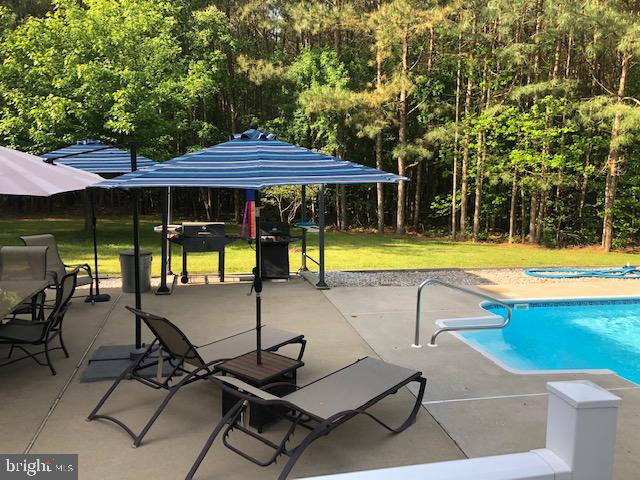 7708 Levin Dashiell Road Hebron, MD 21830 - Photo 15 of 95 Relax by the pool