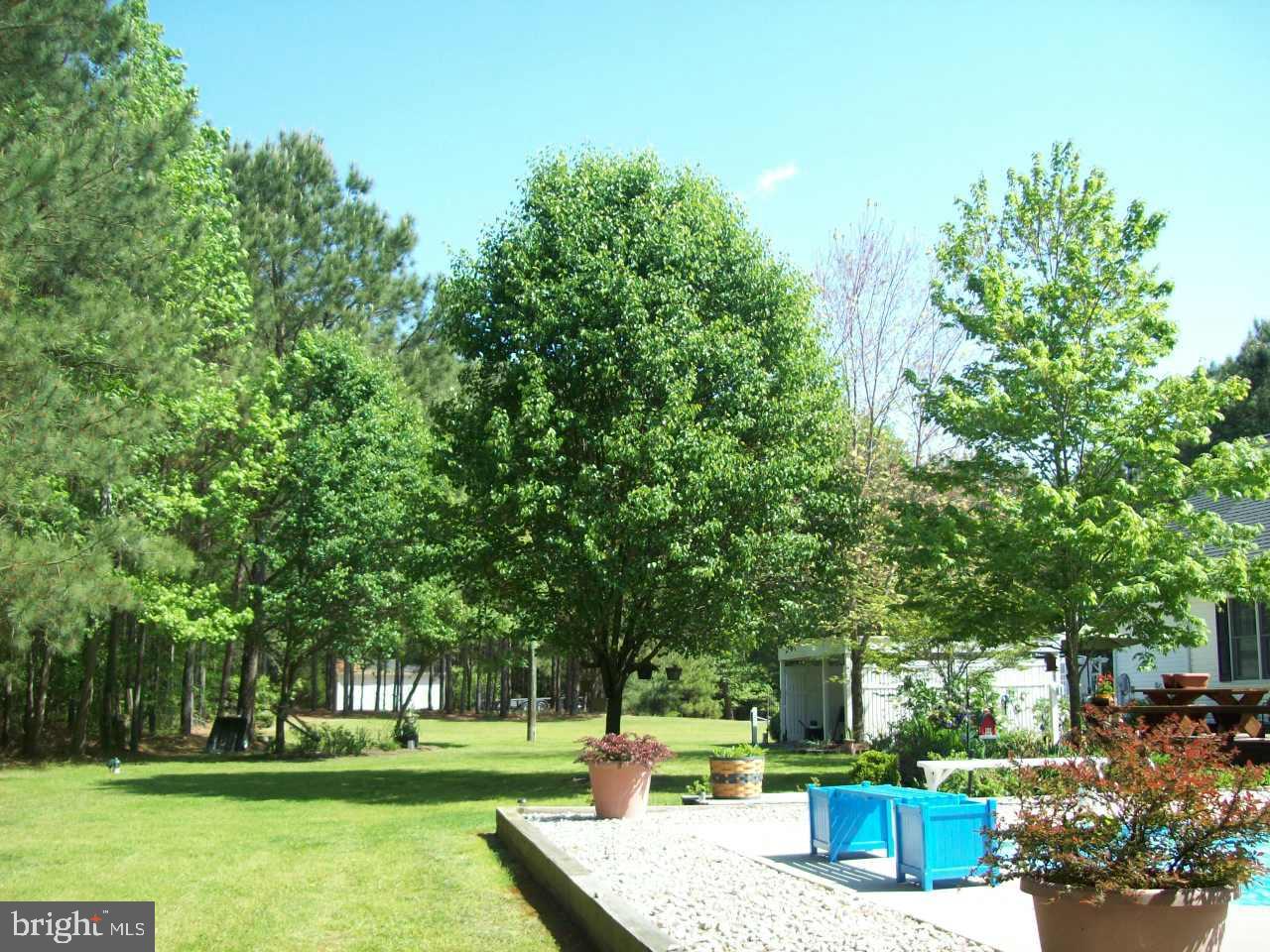 7708 Levin Dashiell Road Hebron, MD 21830 - Photo 17 of 95 Gallery Image 17