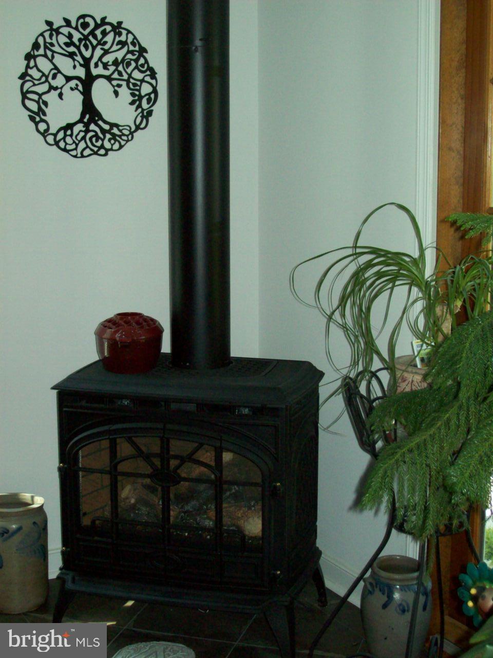 7708 Levin Dashiell Road Hebron, MD 21830 - Photo 34 of 95 Gas Propane free standing stove