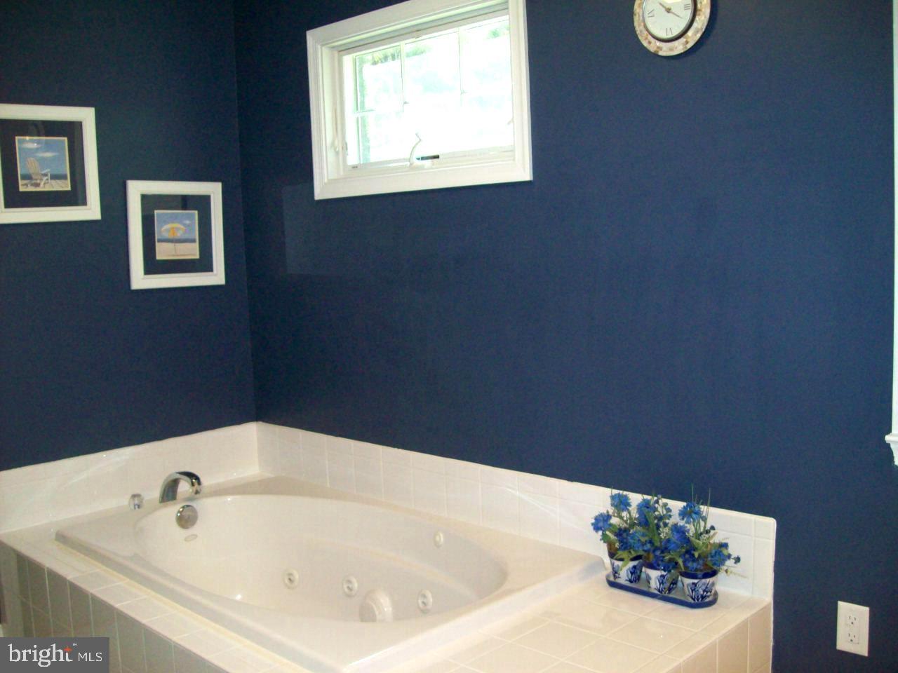 7708 Levin Dashiell Road Hebron, MD 21830 - Photo 39 of 95 Jaczuzzi