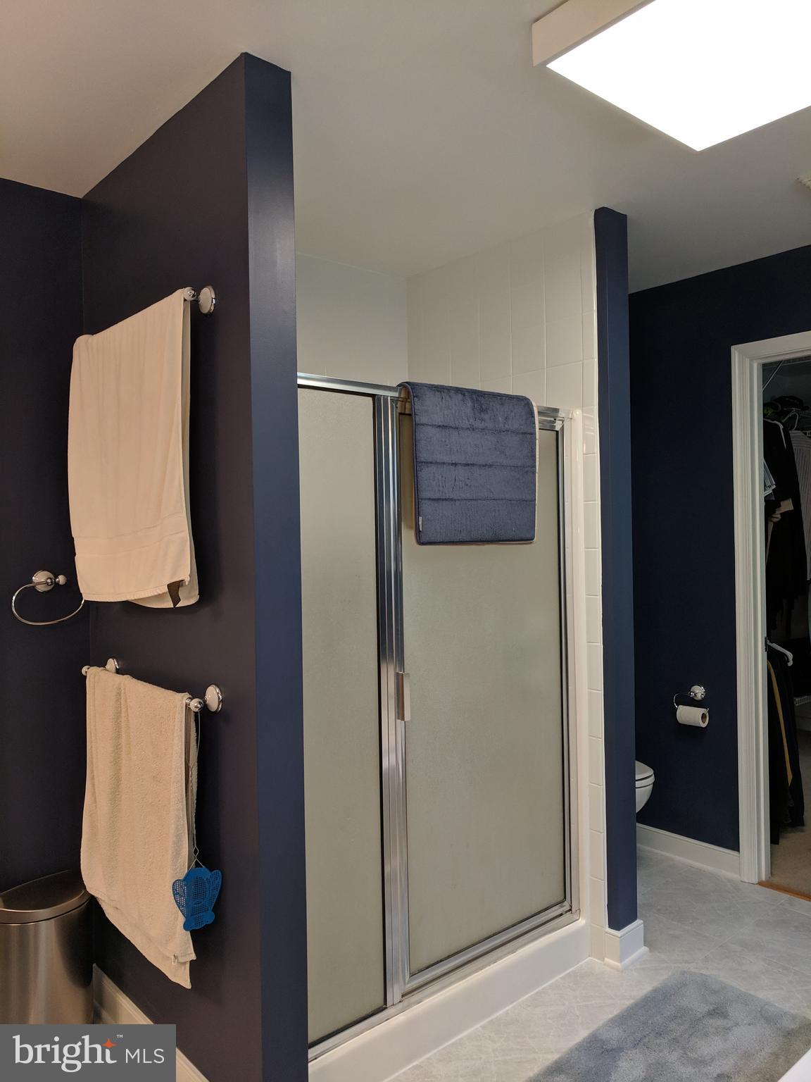 7708 Levin Dashiell Road Hebron, MD 21830 - Photo 41 of 95 Stall shower