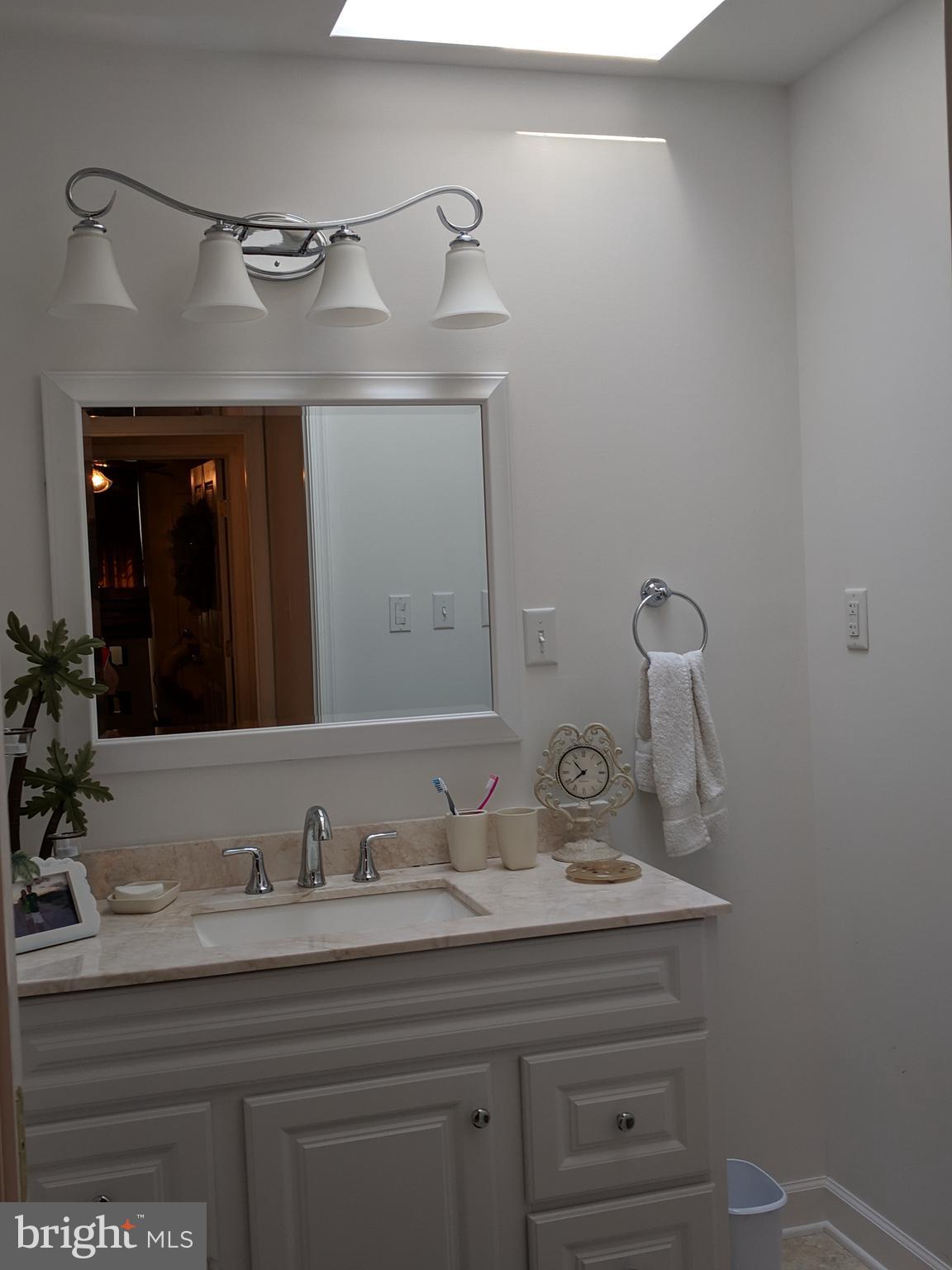 7708 Levin Dashiell Road Hebron, MD 21830 - Photo 53 of 95 Hall Bath w/skylight