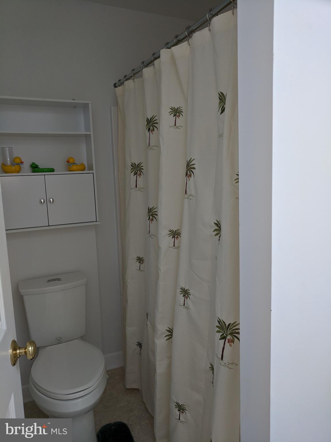 7708 Levin Dashiell Road Hebron, MD 21830 - Photo 57 of 95 tub/shower