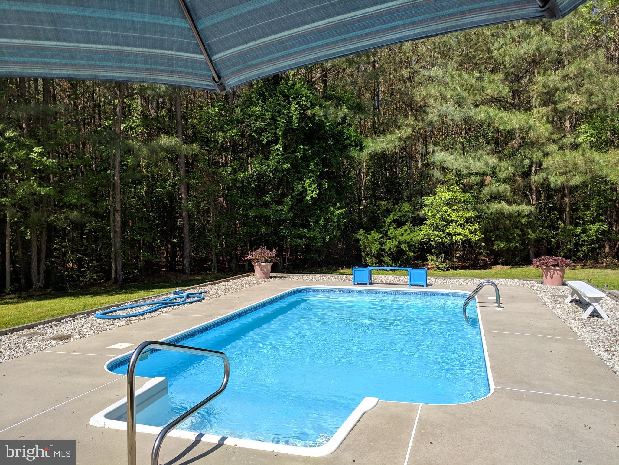 7708 Levin Dashiell Road Hebron, MD 21830 - Photo 7 of 95 14x24 In-ground Pool