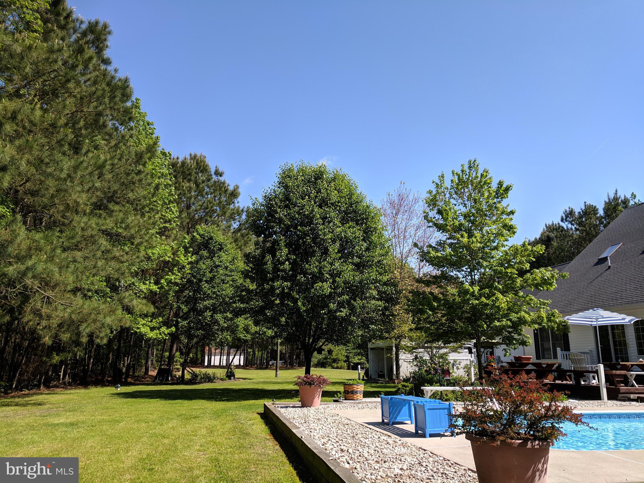 7708 Levin Dashiell Road Hebron, MD 21830 - Photo 67 of 95 Lush green back yard w/irrigation
