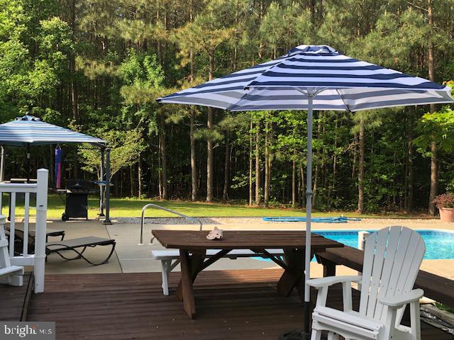 7708 Levin Dashiell Road Hebron, MD 21830 - Photo 69 of 95 Pool party anyone?