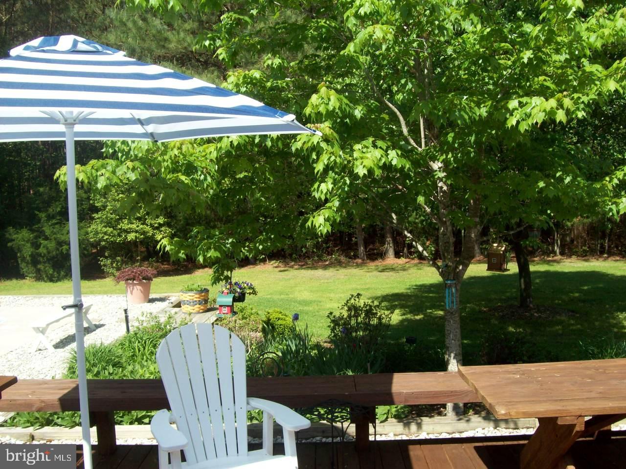 7708 Levin Dashiell Road Hebron, MD 21830 - Photo 72 of 95 Deck