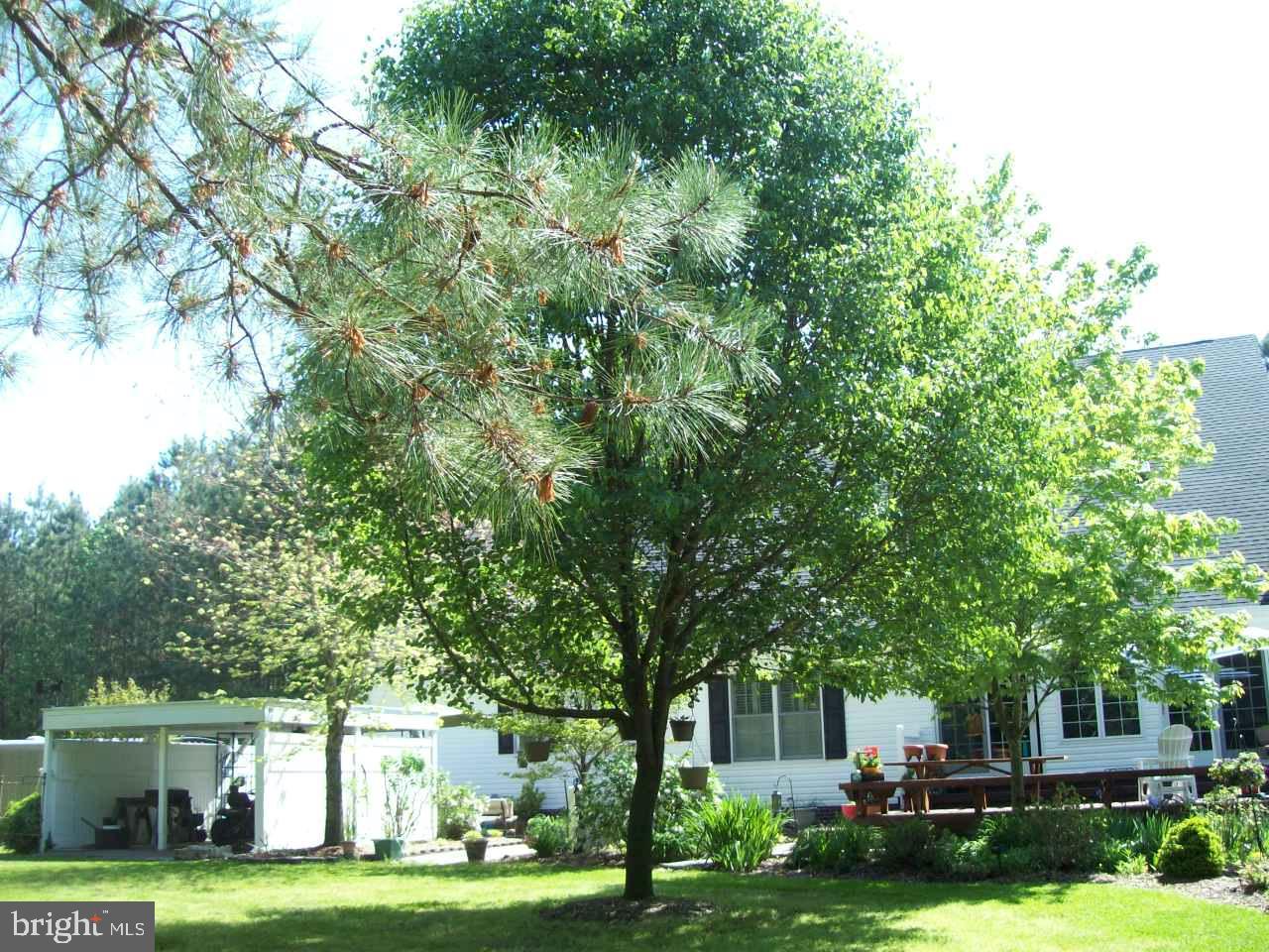 7708 Levin Dashiell Road Hebron, MD 21830 - Photo 78 of 95 Rear view