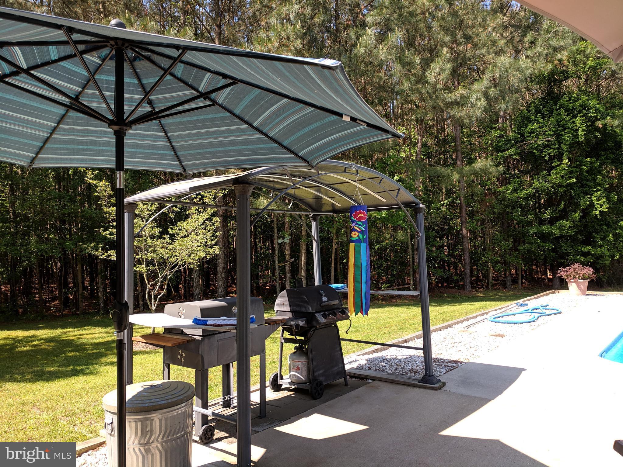 7708 Levin Dashiell Road Hebron, MD 21830 - Photo 80 of 95 BBQ area