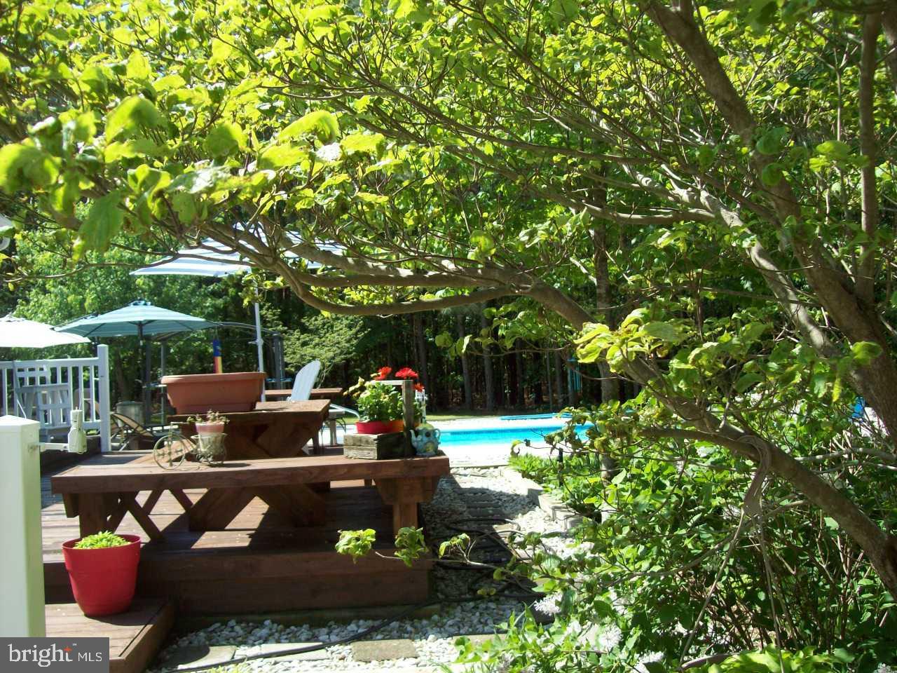 7708 Levin Dashiell Road Hebron, MD 21830 - Photo 82 of 95 Relax and enjoy