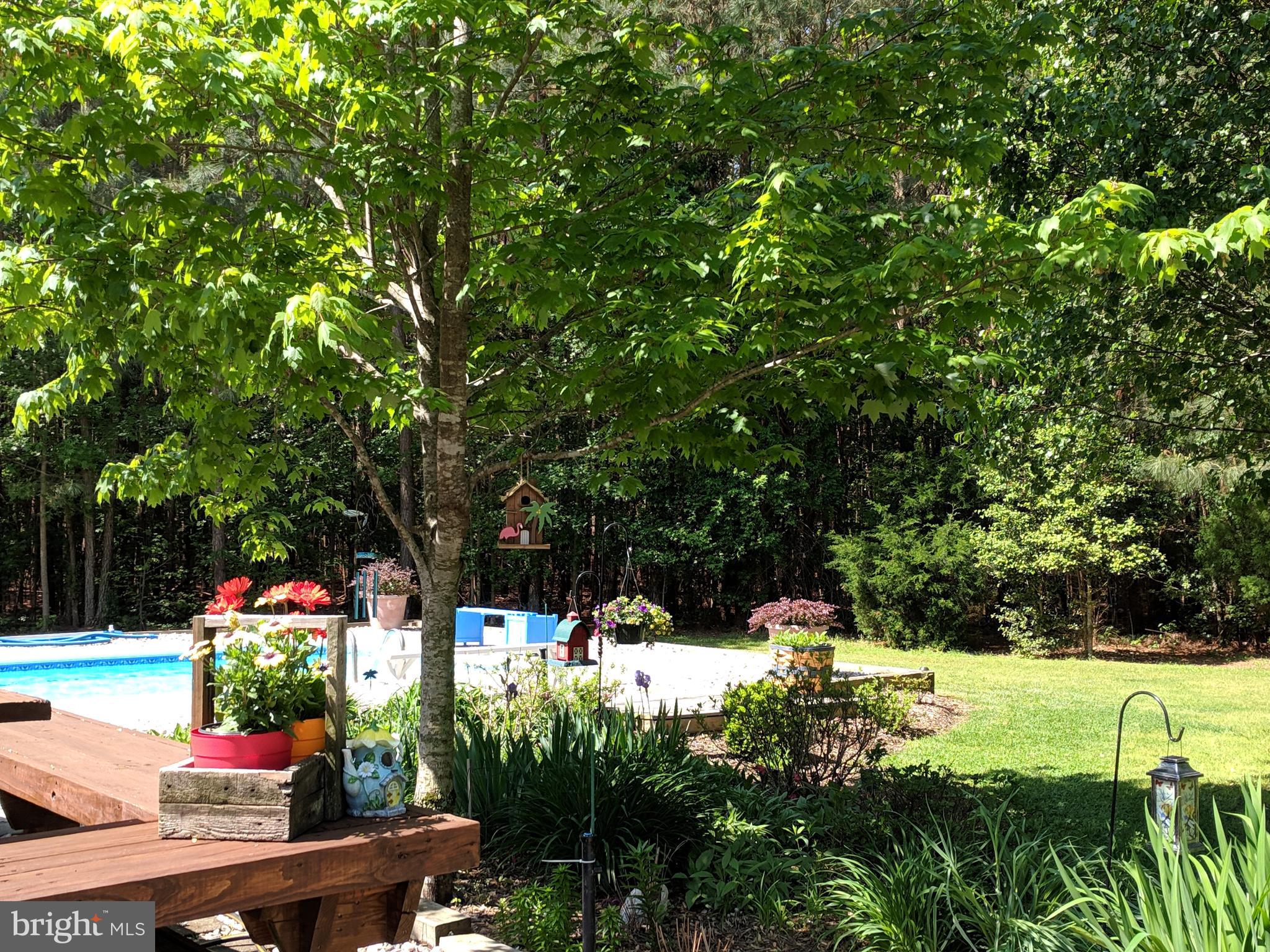 7708 Levin Dashiell Road Hebron, MD 21830 - Photo 83 of 95 Beautiful gardens