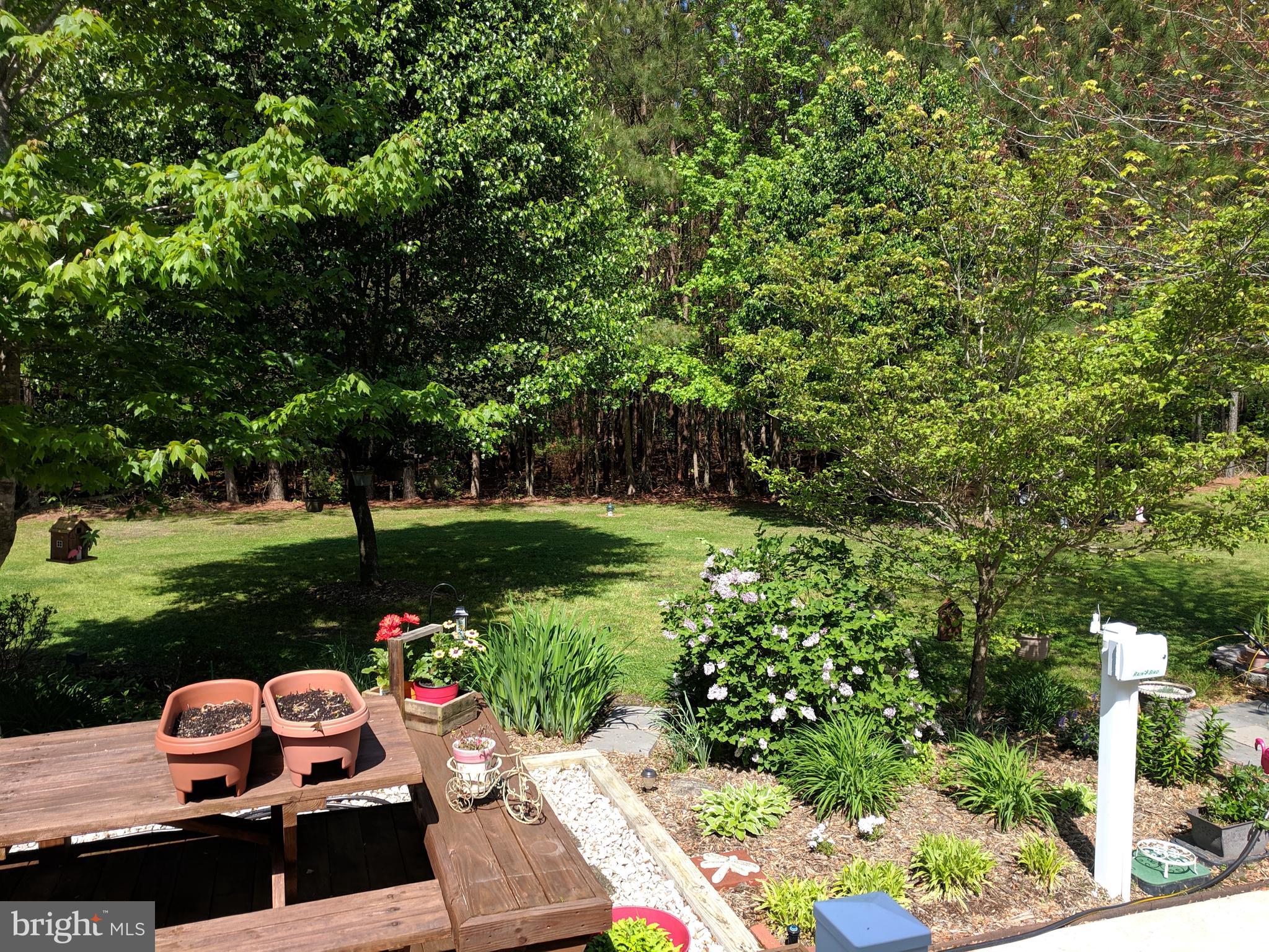 7708 Levin Dashiell Road Hebron, MD 21830 - Photo 84 of 95 Deck area