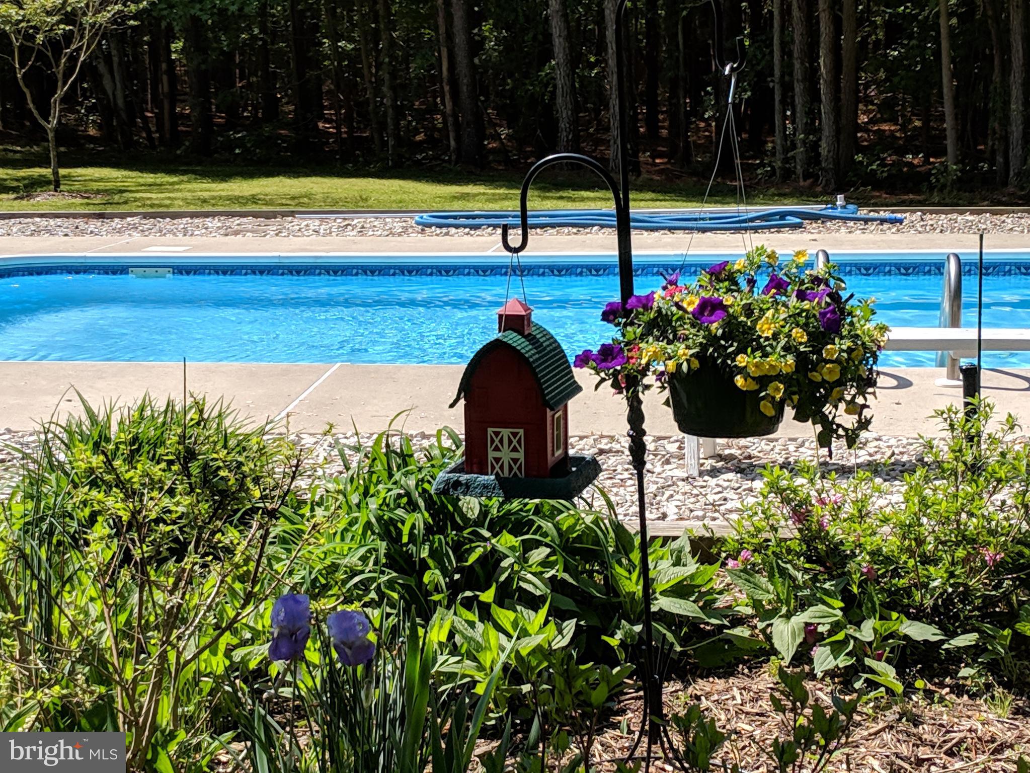 7708 Levin Dashiell Road Hebron, MD 21830 - Photo 86 of 95 Pool Side