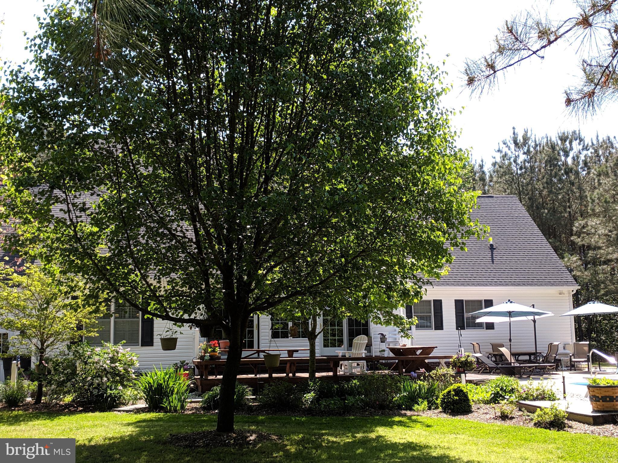 7708 Levin Dashiell Road Hebron, MD 21830 - Photo 88 of 95 Rear View