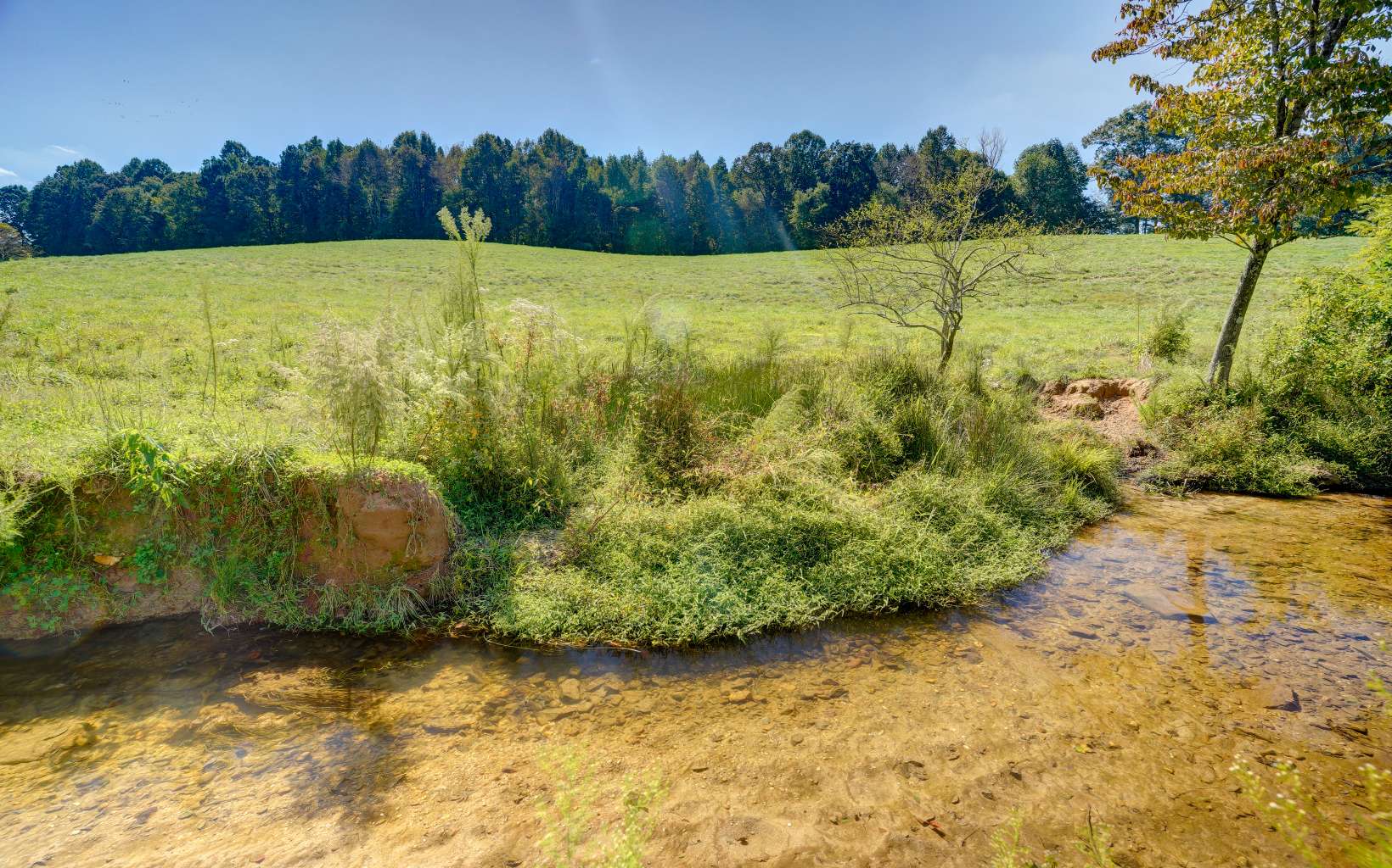 0 Clear Creek Road Ellijay, GA 30536 - Photo 1 of 4 Main View