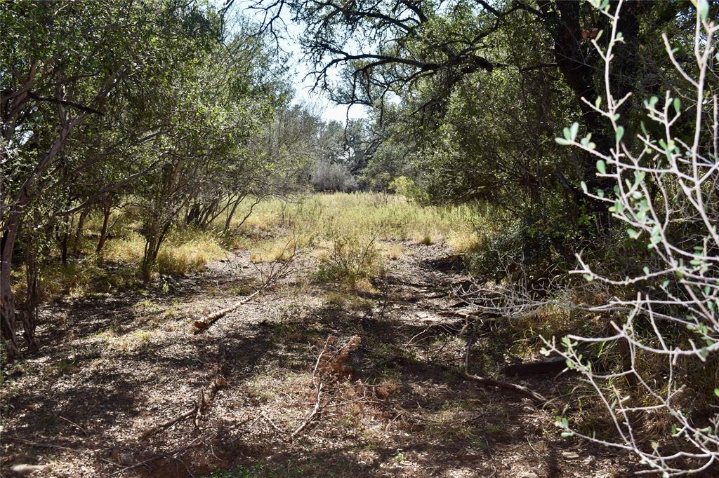 19319 Ranch Road 1871 Mason, TX 76856 - Photo 33 of 40
