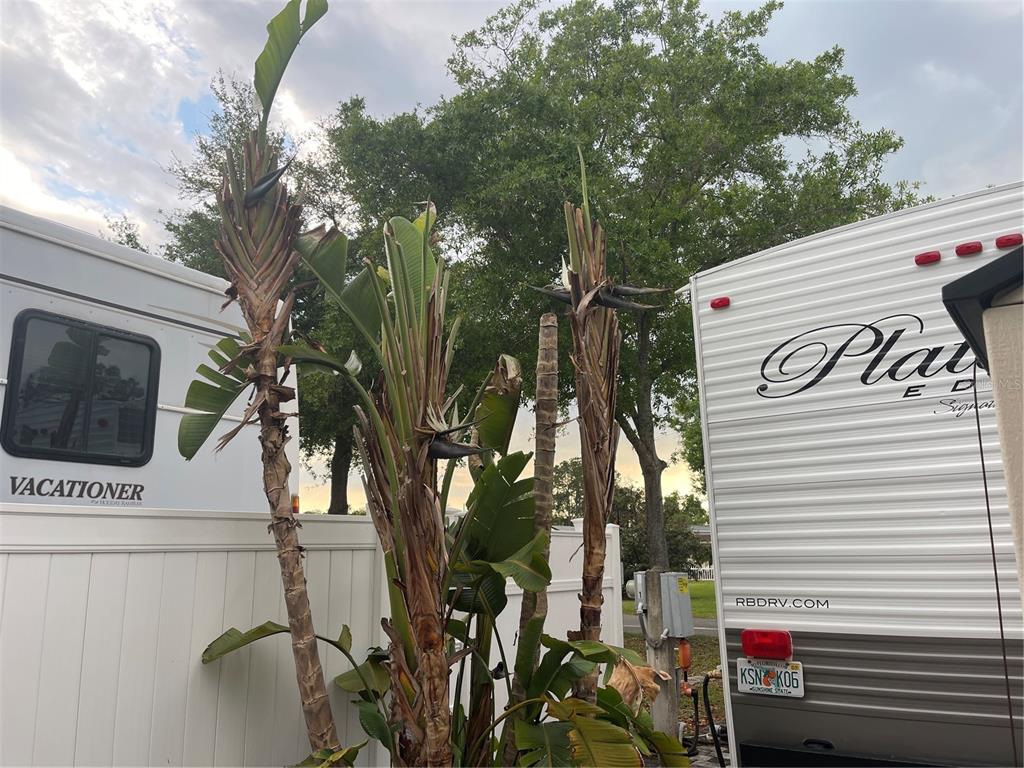 20300 Leonard Road, Unit 78 Lutz, FL 33558 - Photo 27 of 51