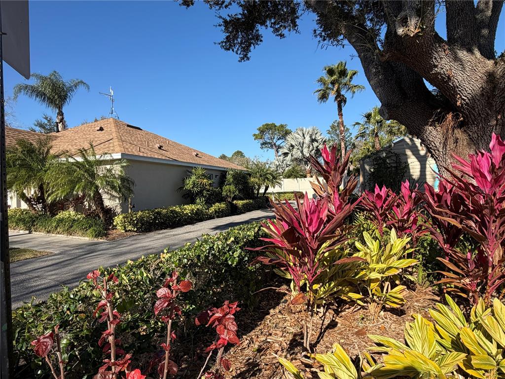 20300 Leonard Road, Unit 78 Lutz, FL 33558 - Photo 38 of 51