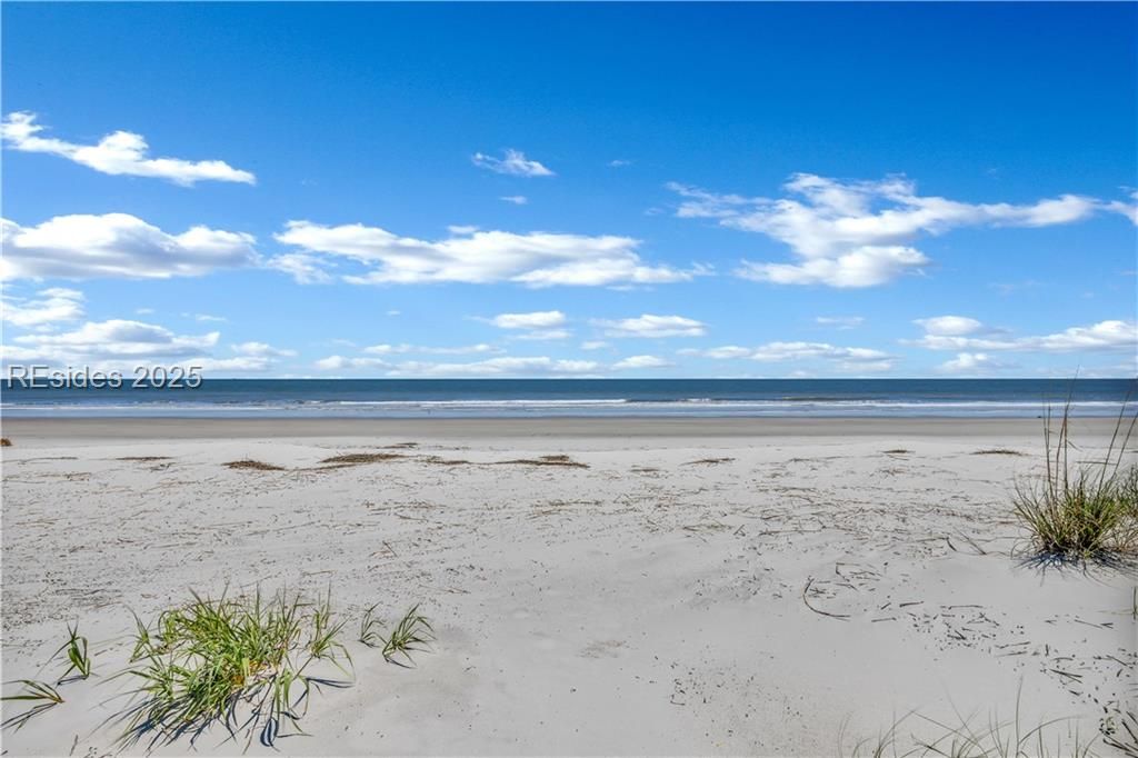15 Grey Widgeon Road Hilton Head Island, SC 29928 - Photo 65 of 65 Unobstructed ocean view