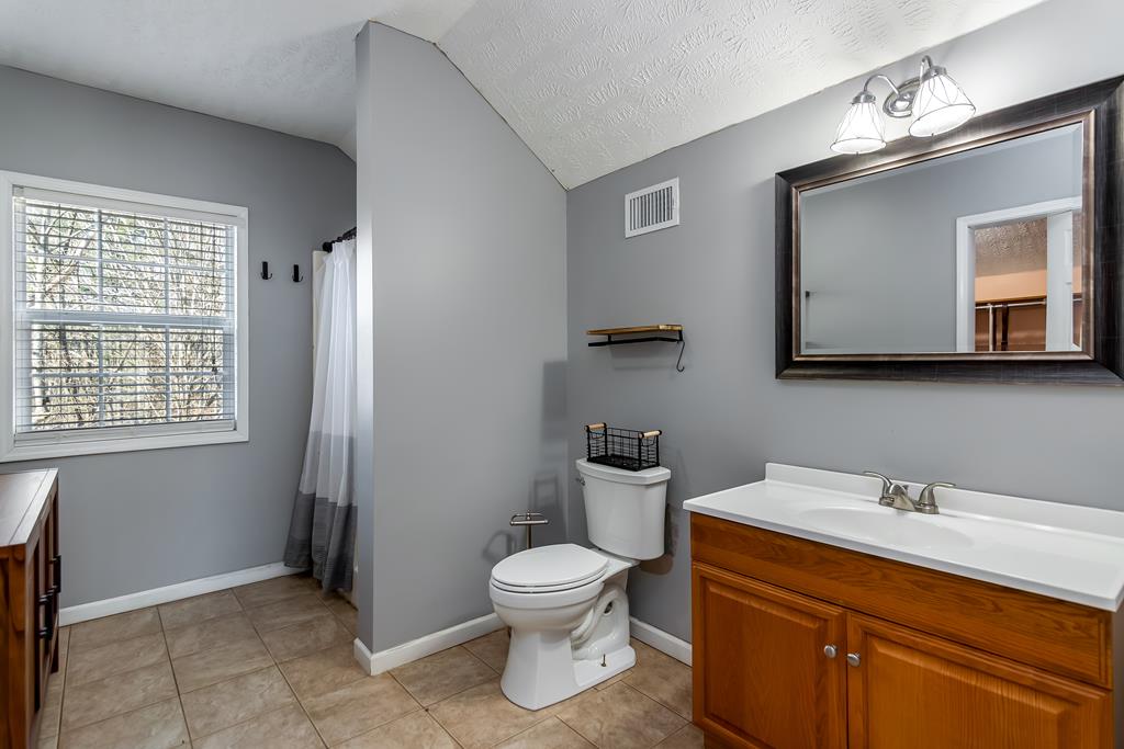 65 Ivy Ridge Ellijay, GA 30536 - Photo 24 of 28 a bathroom with a toilet a sink and mirror