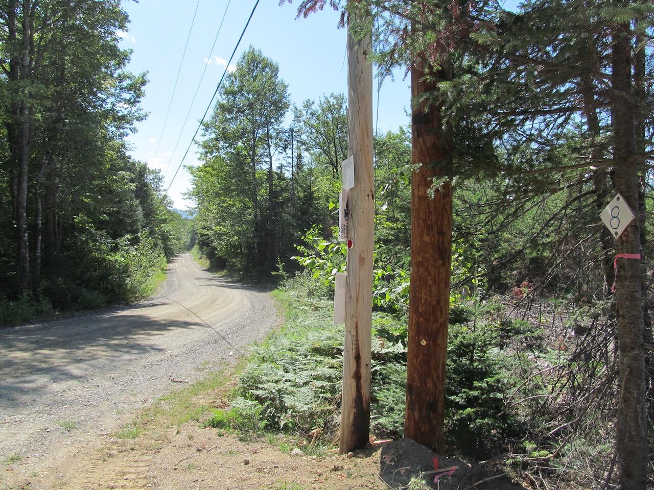 929 Center Hill Road Weld, ME 04285 - Photo 3 of 20