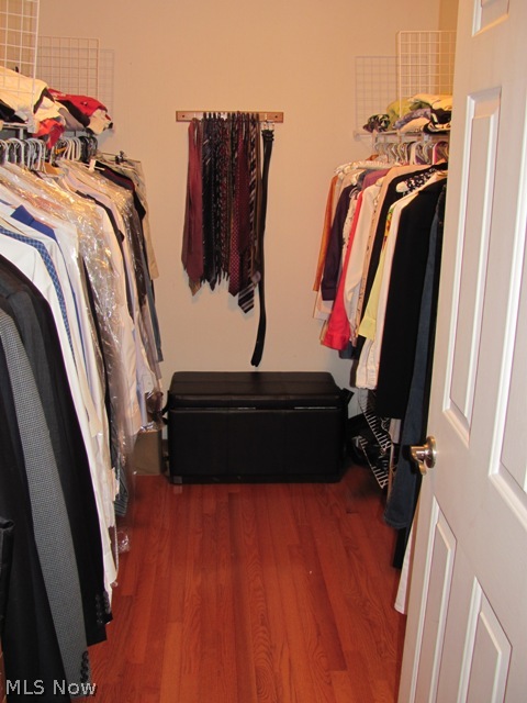 32615 Pettibone Road Solon, OH 44139 - Photo 8 of 23 Deep walk-in master closet.