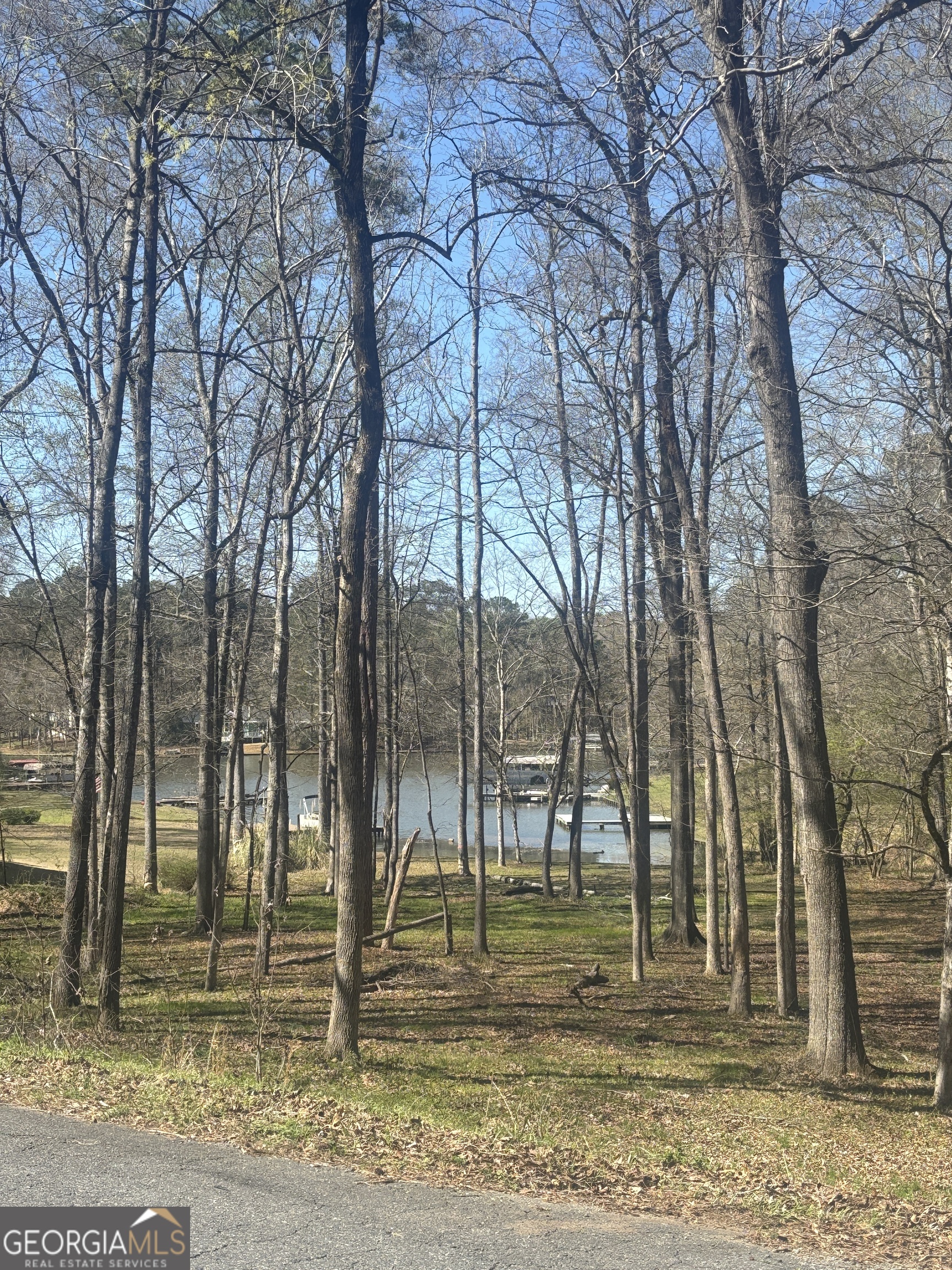 176 Arrowhead Trail Eatonton, GA 31024 - Photo 6 of 45 a view of a backyard