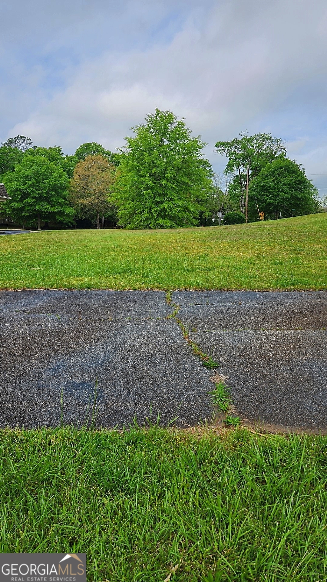 0 Ga Highway Hamilton, GA 31811 - Photo 2 of 6