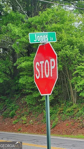 $100,000 | 0 Ga Highway, Hamilton, GA 31811