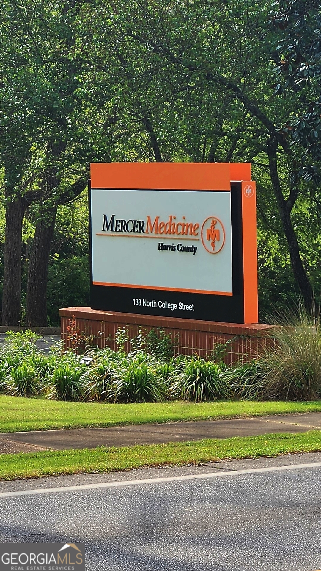 0 Ga Highway Hamilton, GA 31811 - Photo 4 of 6