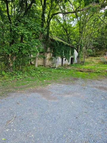 a view of a backyard with large trees