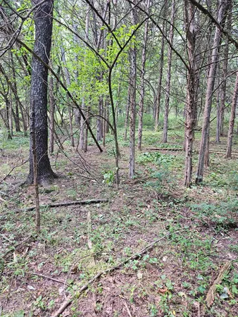 $129,000 | 3.39-acres 3.39-acres Mossy Creek Rd Mount, Mount Solon, VA 22843