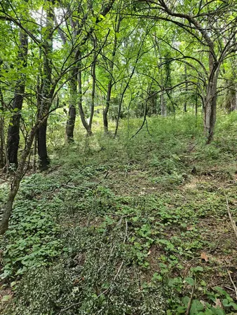 $129,000 | 3.39-acres 3.39-acres Mossy Creek Rd Mount, Mount Solon, VA 22843