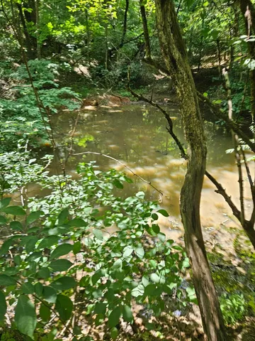 $129,000 | 3.39-acres 3.39-acres Mossy Creek Rd Mount, Mount Solon, VA 22843