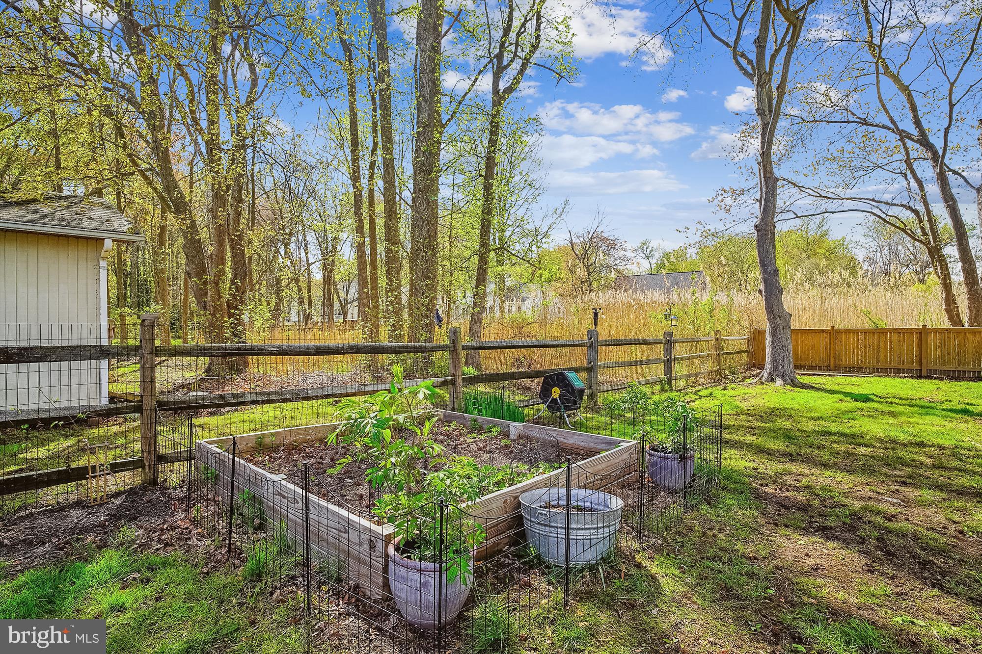 204 McKay Road Stevensville, MD 21666 - Photo 31 of 31 a view of a backyard with sitting area