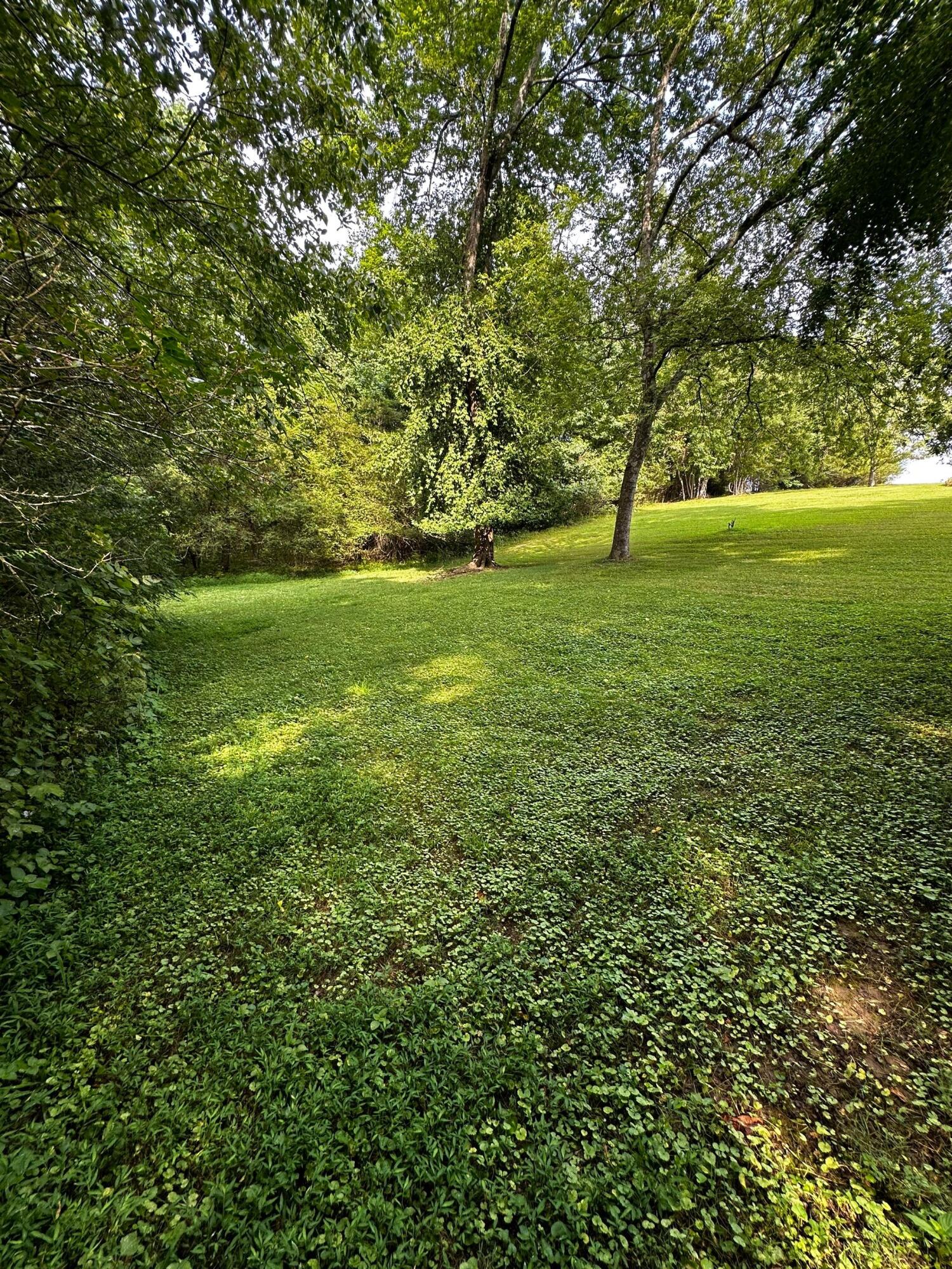 111 Hutton Court Dayton, TN 37321 - Photo 10 of 50 project_87794081_07292025_2132