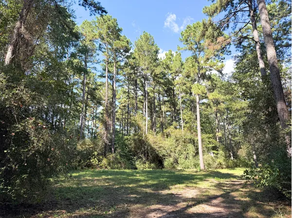 $899,750 | 0 3 3 Notch Road, Huntsville, TX 77340