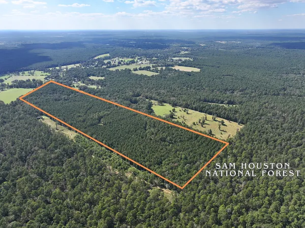 $899,750 | 0 3 3 Notch Road, Huntsville, TX 77340